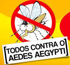 Educação em ação contra o Aedes aegypti